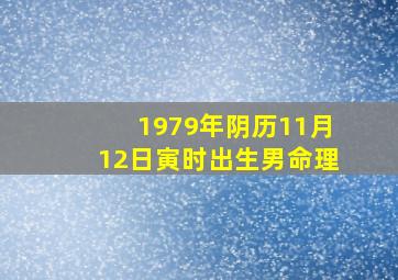 1979年阴历11月12日寅时出生男命理