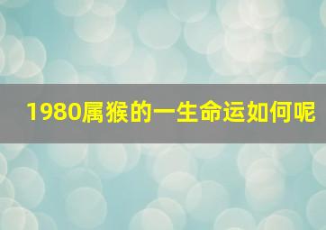 1980属猴的一生命运如何呢