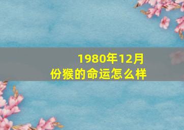 1980年12月份猴的命运怎么样