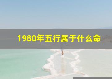 1980年五行属于什么命