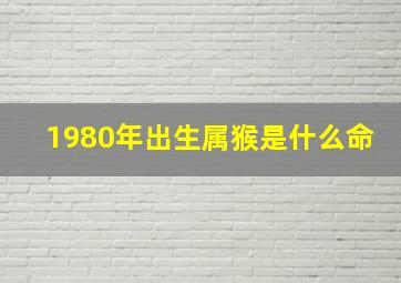 1980年出生属猴是什么命