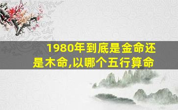 1980年到底是金命还是木命,以哪个五行算命