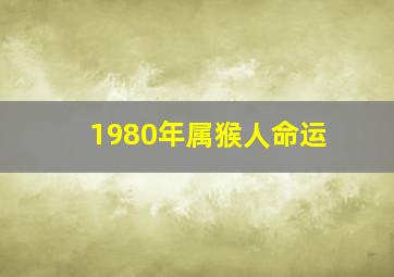 1980年属猴人命运