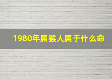 1980年属猴人属于什么命