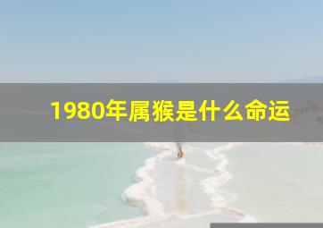 1980年属猴是什么命运