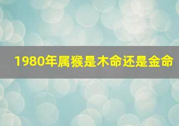 1980年属猴是木命还是金命