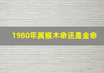 1980年属猴木命还是金命