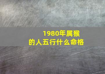 1980年属猴的人五行什么命格