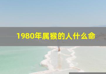 1980年属猴的人什么命