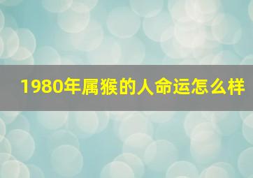 1980年属猴的人命运怎么样