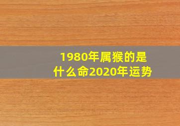 1980年属猴的是什么命2020年运势