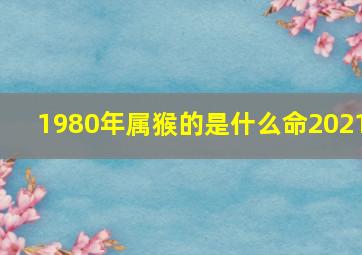 1980年属猴的是什么命2021