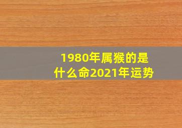 1980年属猴的是什么命2021年运势