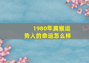 1980年属猴运势人的命运怎么样