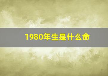 1980年生是什么命