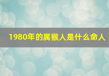 1980年的属猴人是什么命人