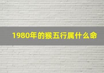 1980年的猴五行属什么命