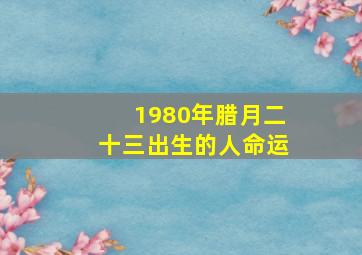 1980年腊月二十三出生的人命运