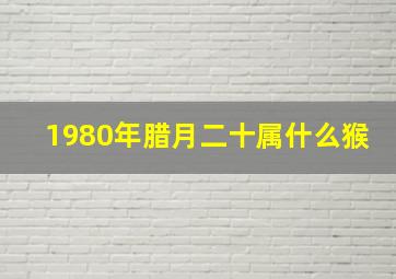 1980年腊月二十属什么猴