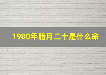 1980年腊月二十是什么命