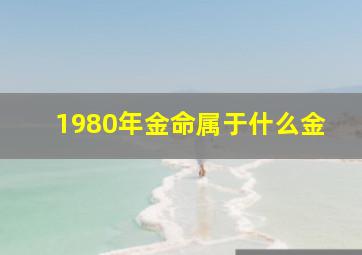 1980年金命属于什么金