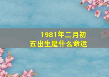 1981年二月初五出生是什么命运