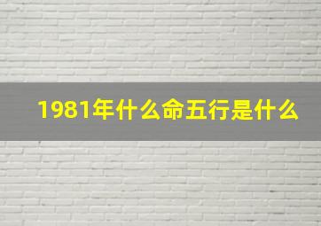 1981年什么命五行是什么