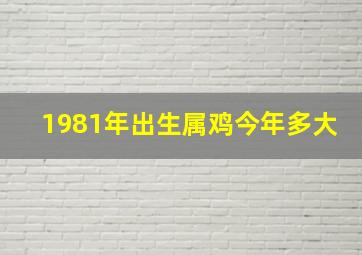 1981年出生属鸡今年多大