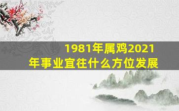 1981年属鸡2021年事业宜往什么方位发展