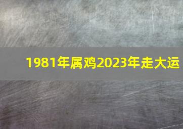 1981年属鸡2023年走大运