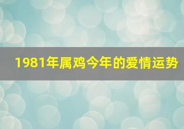 1981年属鸡今年的爱情运势