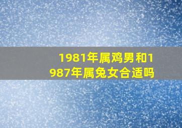 1981年属鸡男和1987年属兔女合适吗