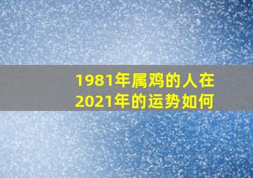 1981年属鸡的人在2021年的运势如何