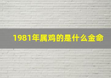 1981年属鸡的是什么金命