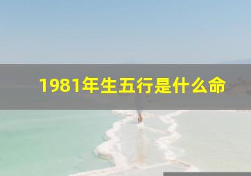 1981年生五行是什么命