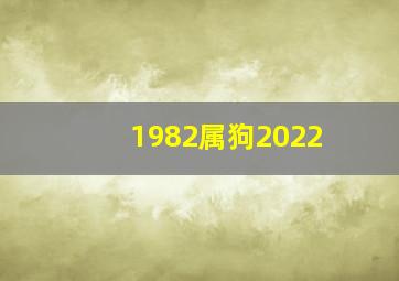 1982属狗2022