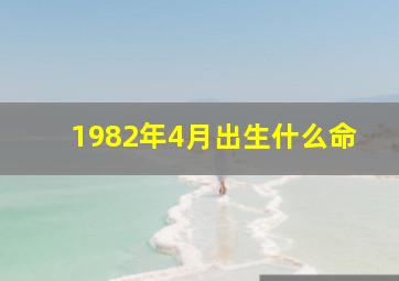 1982年4月出生什么命