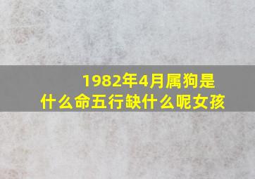 1982年4月属狗是什么命五行缺什么呢女孩