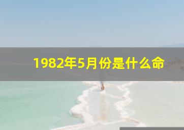 1982年5月份是什么命