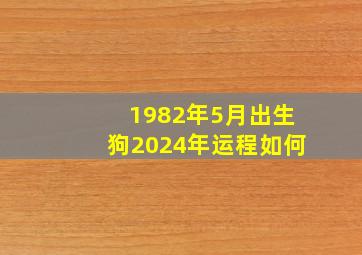 1982年5月出生狗2024年运程如何