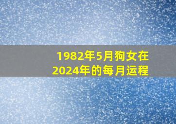 1982年5月狗女在2024年的每月运程