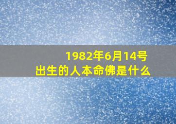 1982年6月14号出生的人本命佛是什么