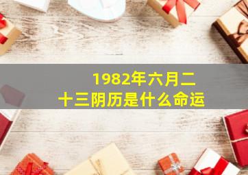 1982年六月二十三阴历是什么命运