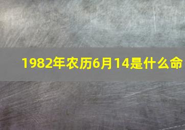 1982年农历6月14是什么命