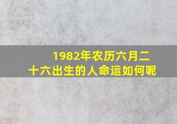 1982年农历六月二十六出生的人命运如何呢