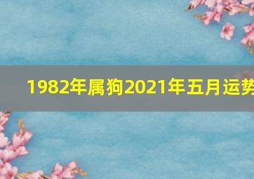 1982年属狗2021年五月运势