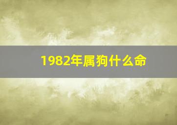 1982年属狗什么命