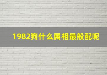 1982狗什么属相最般配呢