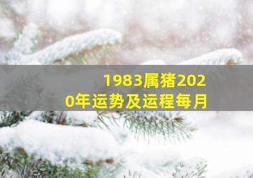 1983属猪2020年运势及运程每月