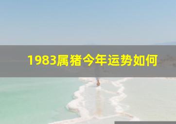 1983属猪今年运势如何